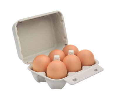 Eieren 6st